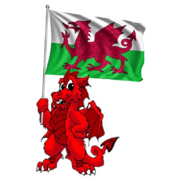 Dragon and flag - Colourfast Graphics