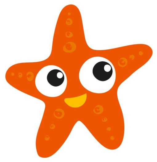 Starfish Orange - Colourfast Graphics