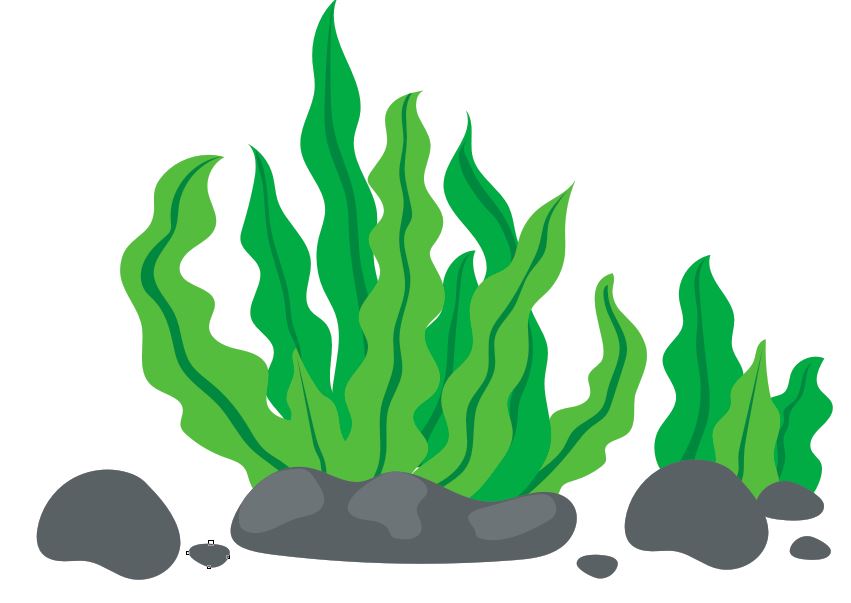 Wavy seaweed - Colourfast Graphics