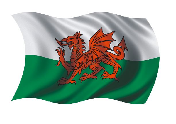 Welsh Flag curved - Colourfast Graphics